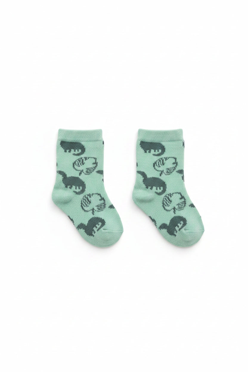 Baby Sneakers - Dino (PK12) (9-21M) SN176SG*