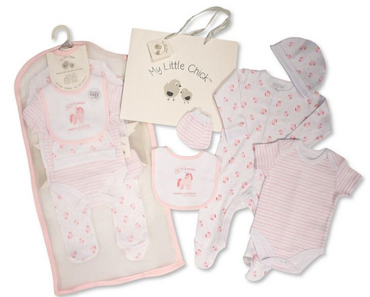 Baby 5 Pieces Gift Set with Paper Gift Bag - Hello Baby Gp-25-1346