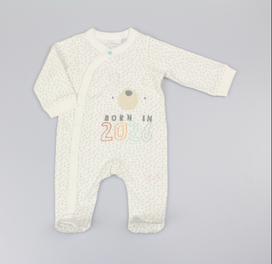 Baby All in One - Born in 2026 (NB-3m) (PK6) M15929