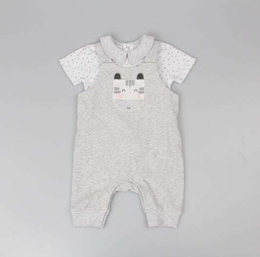 Boys 2pc s/s dungaree+t-shirt zebra rib (0-6 Months) (PK6) E13307