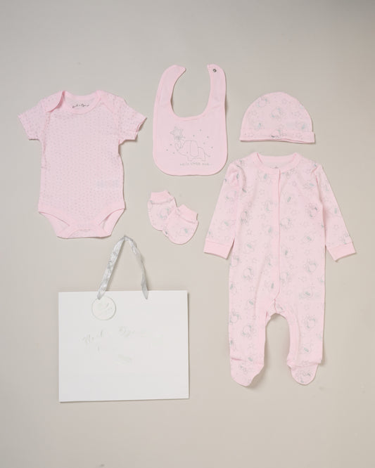 5pc Gift Set - Pink/Little One (NB-6m) (PK4) G12009