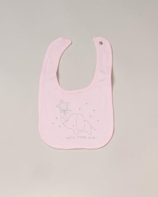 5pc Gift Set - Pink/Little One (NB-6m) (PK4) G12009