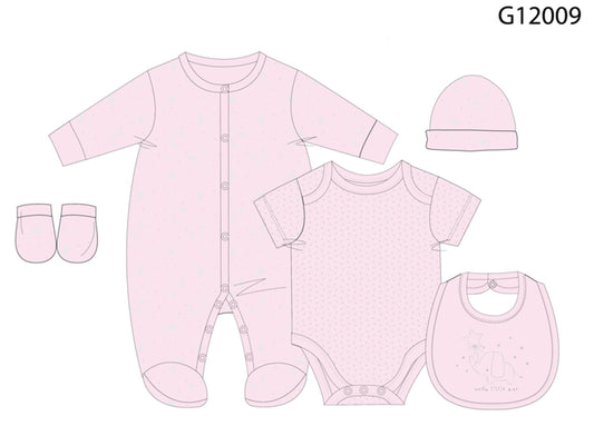 5pc Gift Set - Pink/Little One (NB-6m) (PK4) G12009
