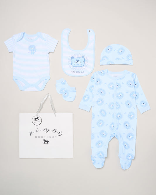 5pc Gift Set - Cute Little Cub (NB-6m) (PK4) G12580
