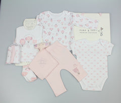10pc Gift Set - Born to be Awesome Pink (NB-3m) (PK6) N14745