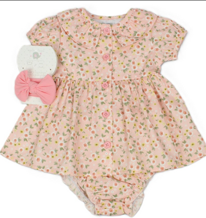 Baby Girls All Over Print Dress, Pant & Headband Set (Pack of 6) - M34301